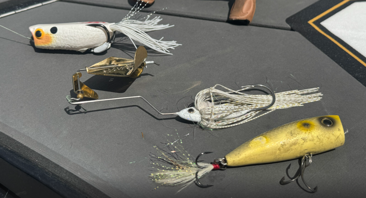 Best Topwater Lures for April Bass