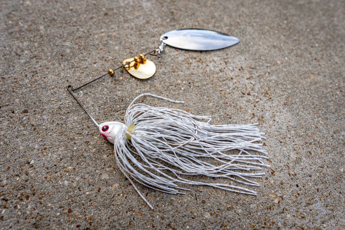 Best Spinnerbait for Fall Bass: Colorado + Willow Combination