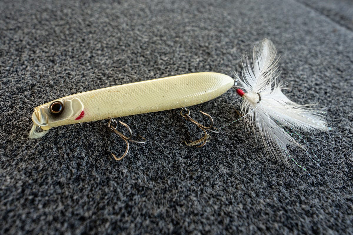 Best Baits for September: Topwater Lures for Schooling Bass