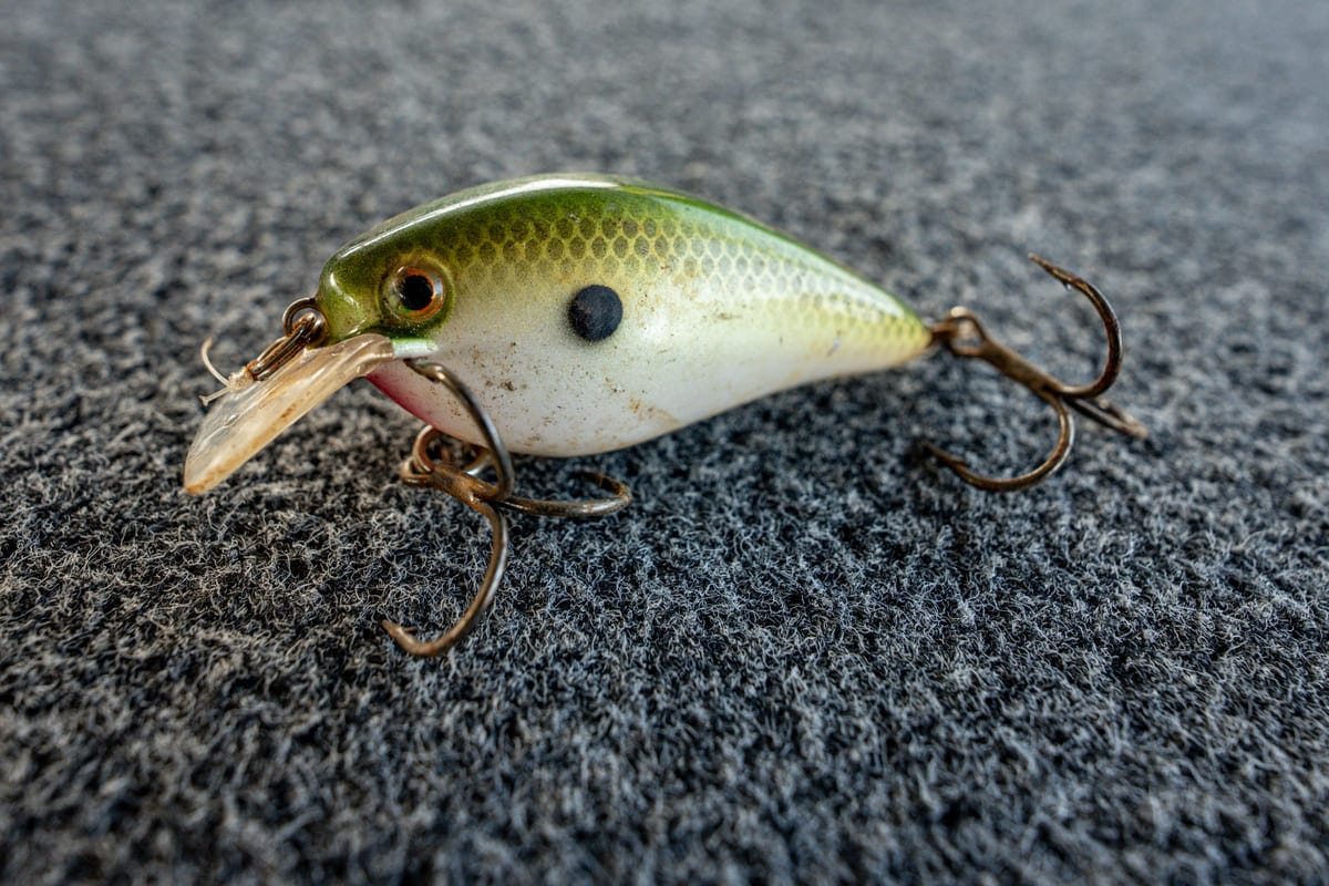 Best Baits for September: Squarebill Crankbaits for Shallow Cover
