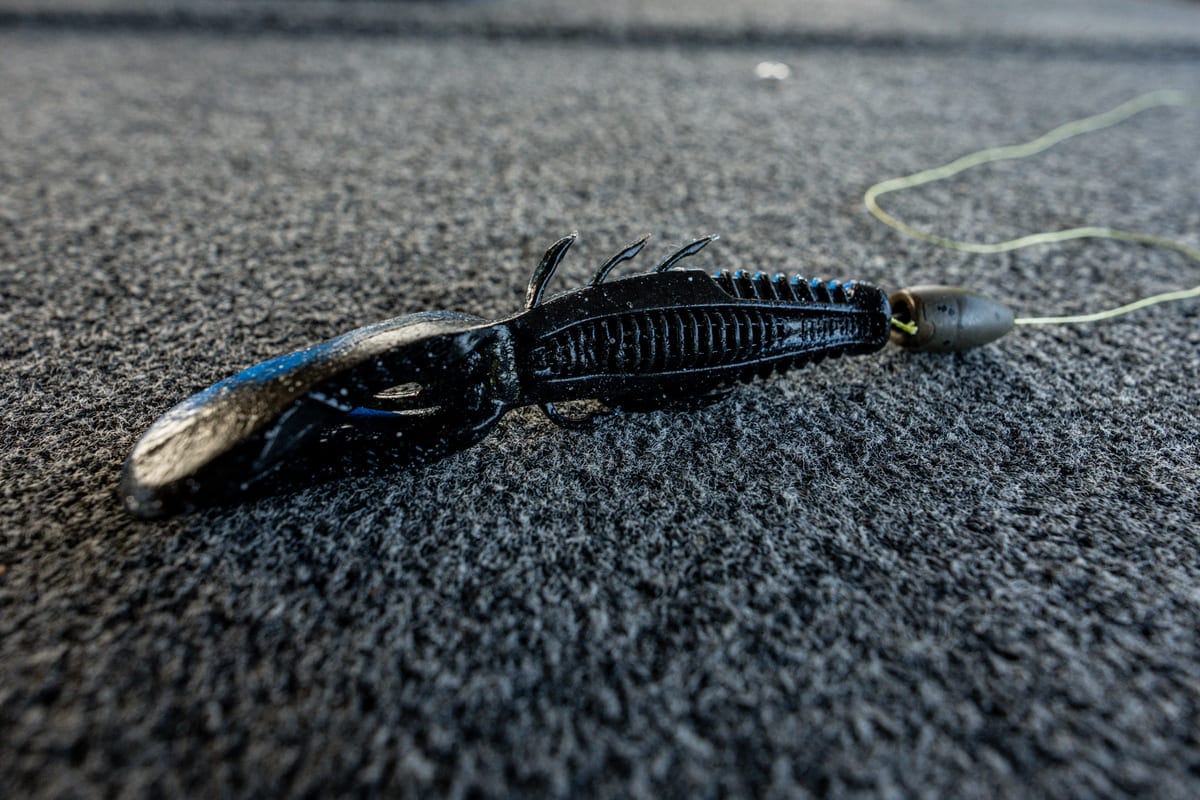 Best Baits for September: Punching Rigs for Grass Fishing