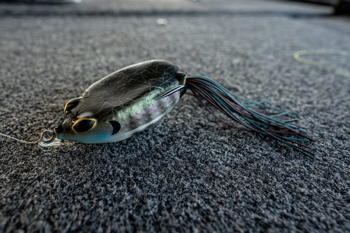 Best Baits for September: Top water Frogs for Grass Fishing