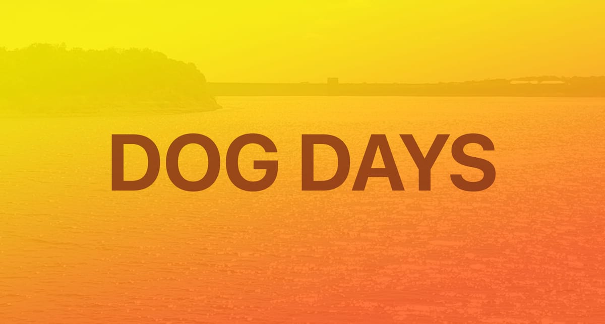 Deep Dive's Guide to Success in the Dog Days of Summer