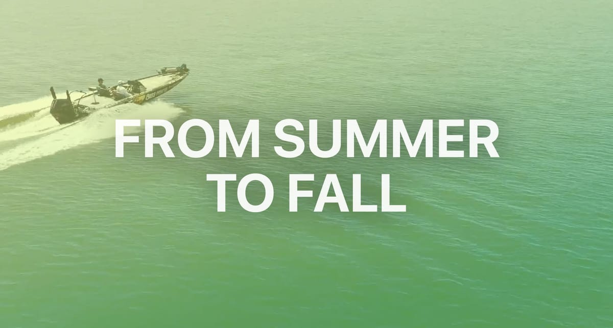 From Summer to Fall: How to Spot the First Hints of the Bass Transition