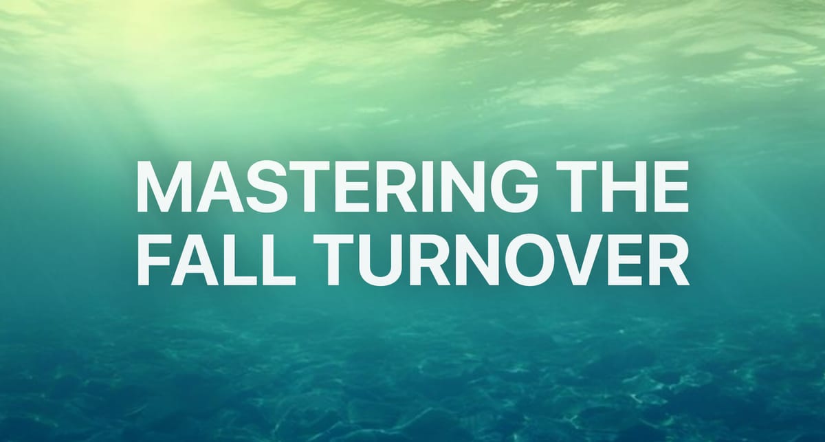Mastering the Fall Turnover: Your Guide to Bass Fishing's Most Challenging Transition