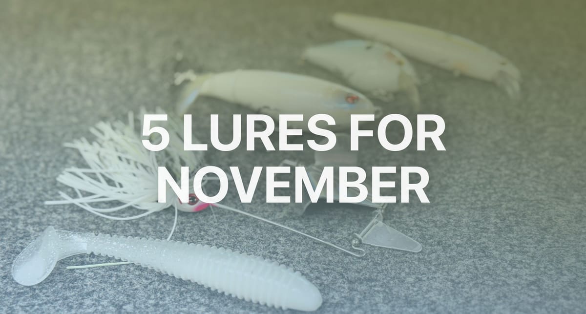 Five Lures for November