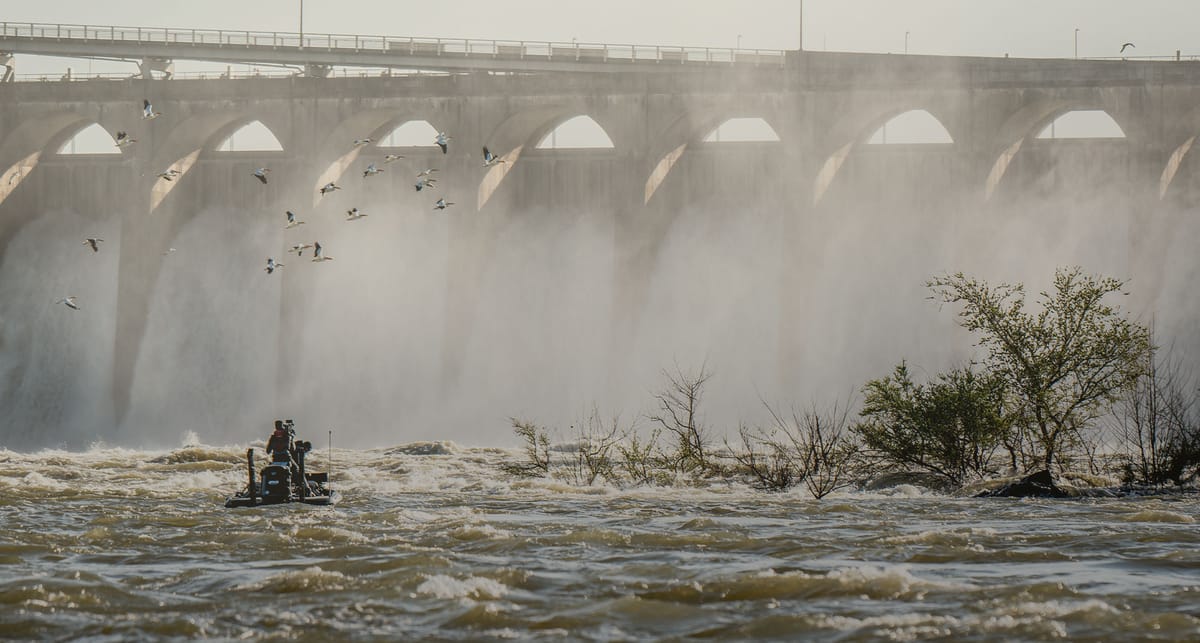 Timing is Everything: Introducing Generation Release Schedules in Deep Dive