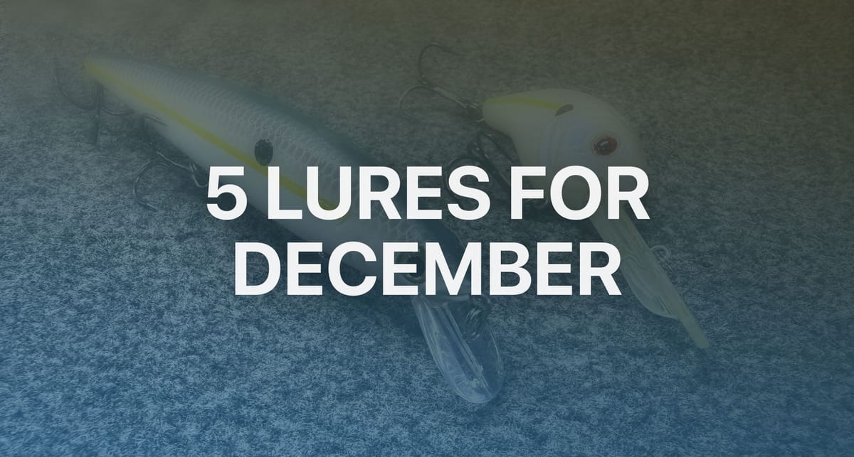 Five Lures for December