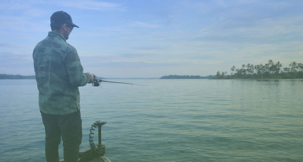 Finding bass in Florida’s mysterious current flow