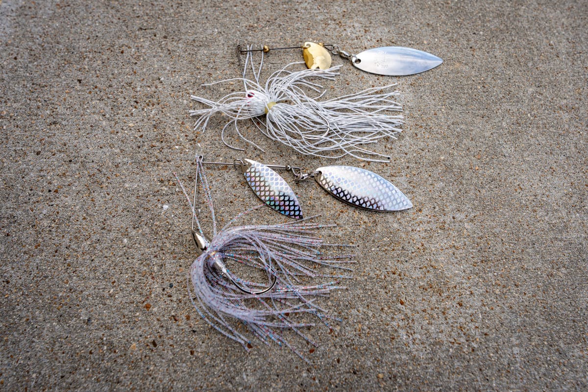 How to Choose the Right Spinnerbait for Fall Bass