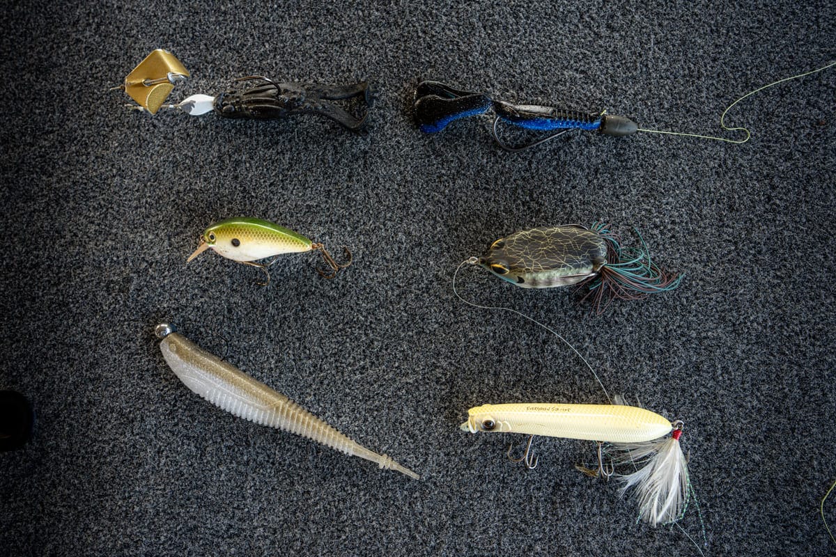Best Bass Baits for September | Deep Dive
