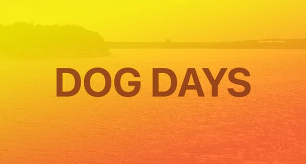 Deep Dive's Guide to Success in the Dog Days of Summer