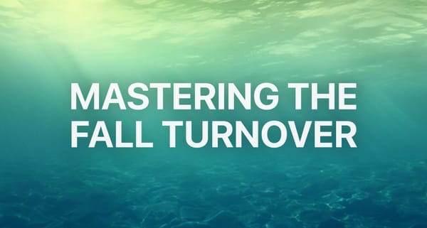 Mastering the Fall Turnover: Your Guide to Bass Fishing's Most Challenging Transition
