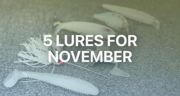 Five Lures for November