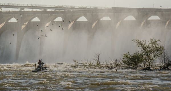 Timing is Everything: Introducing Generation Release Schedules in Deep Dive