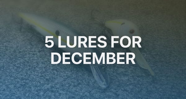 Five Lures for December