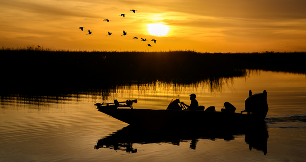 Best Bass Fishing Lakes Tennessee