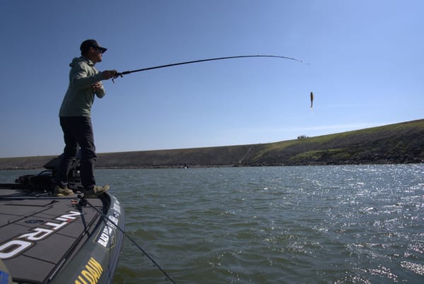 Best Fishing Lakes in Georgia - Deep Dive