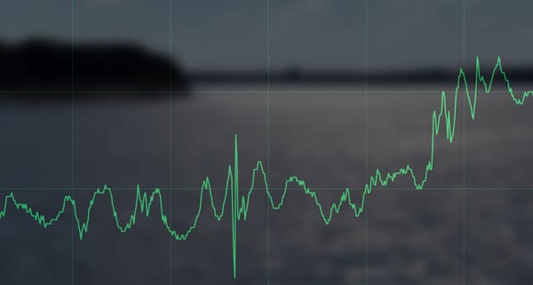 Spring Bass Fishing: How Water Levels Affect the Spawn