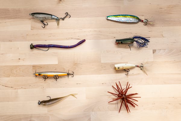 Best Baits to Throw in July