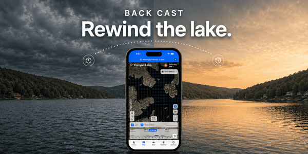 Rewind Your Lake with Back Cast