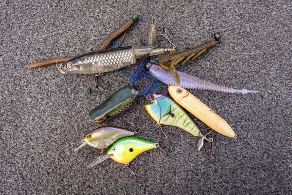 Best Baits to Throw in August | Deep Dive