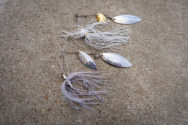 How to Choose the Right Spinnerbait for Fall Bass