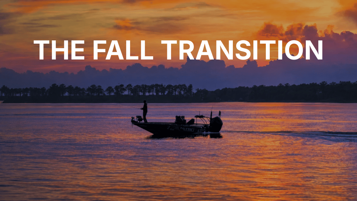 The Fall Bass Transition
