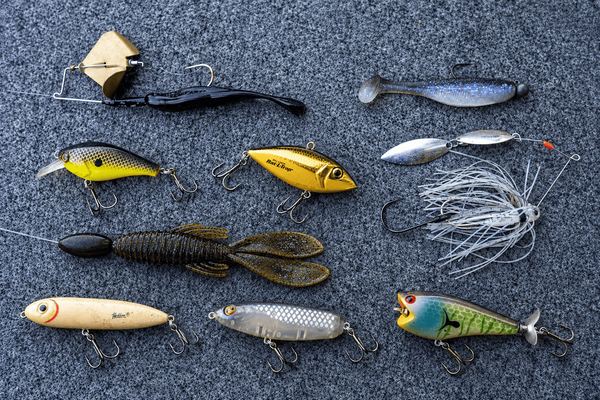 Best Baits to Throw in October